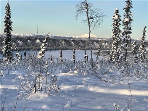 Koyukuk River